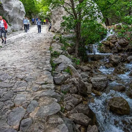 Apartment In 37105 *