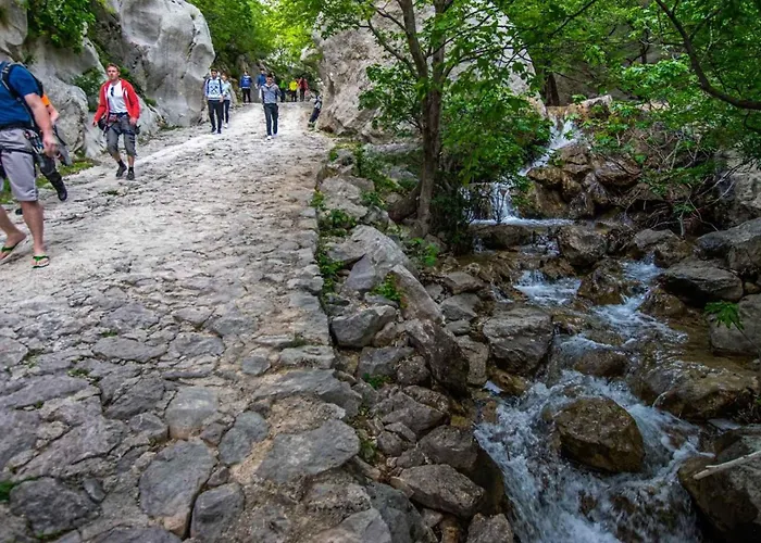 Lejlighed In 37105 *