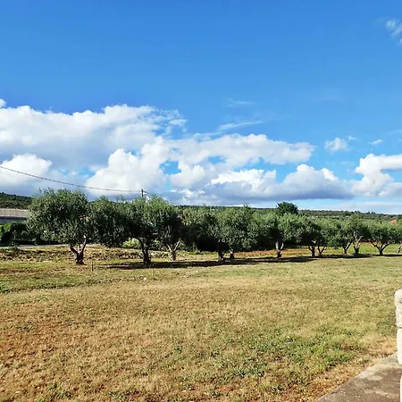 In 37105 * 珀塞达耶