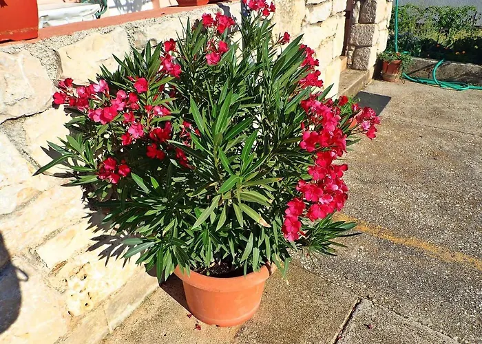 In 37105 * Поседарье