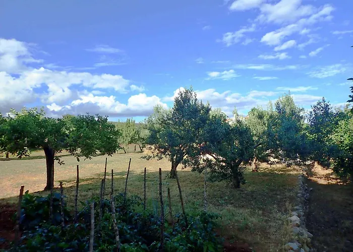 In 37105 Апартаменты Поседарье